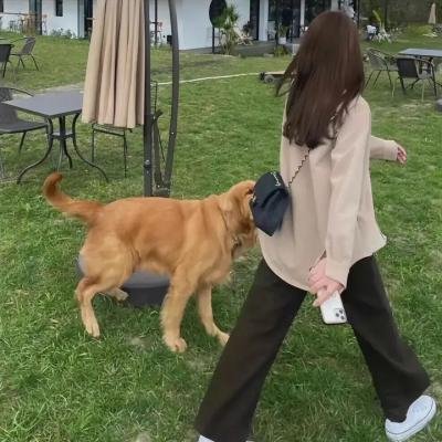 退休计划